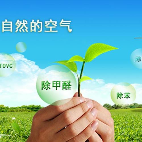 天津除甲醛公司图片.jpg